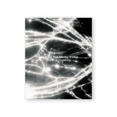 Something Was Missing Within Portada del photobook Something Was Missing Within de Elliott Kreyenberg, publicado por Witty Books